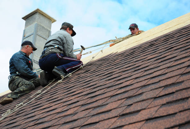 Quick and Trustworthy Emergency Roof Repair Services in Graceville, FL